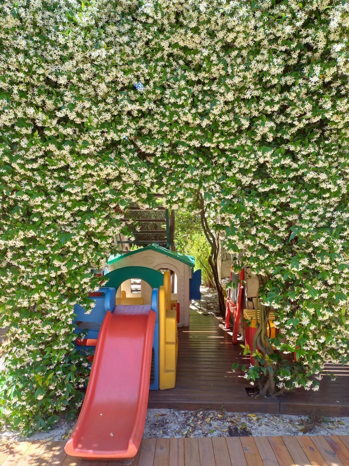 Valeria House Rental Suites バレリア・デル・マール エクステリア 写真